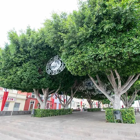 Plaza De Las Flores
